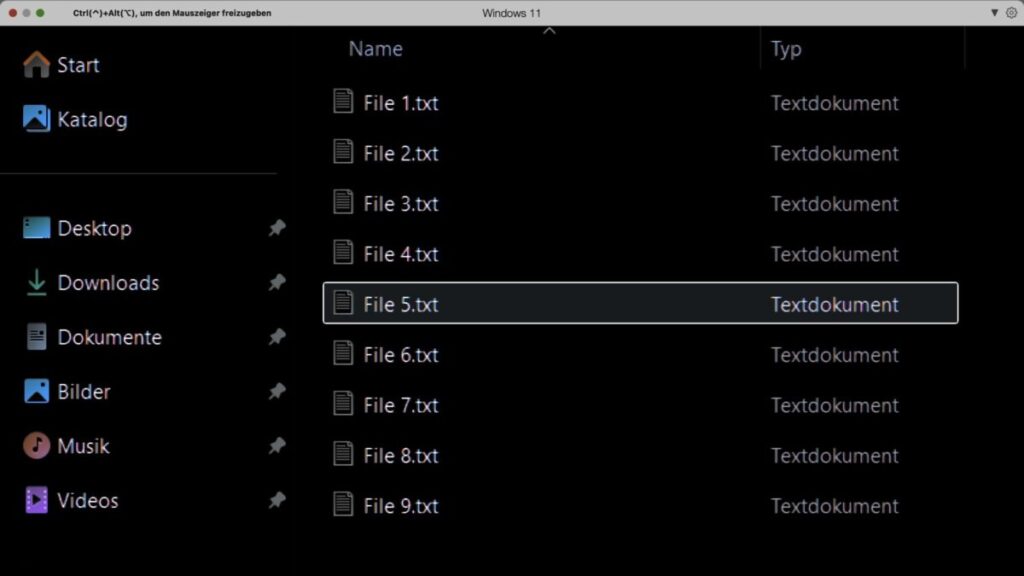 Das Bild zeigt einen Screenshot des Windows Explorers. Zu sehen ist eine Auflistung von Textdateien mit den Namen File 1-9.