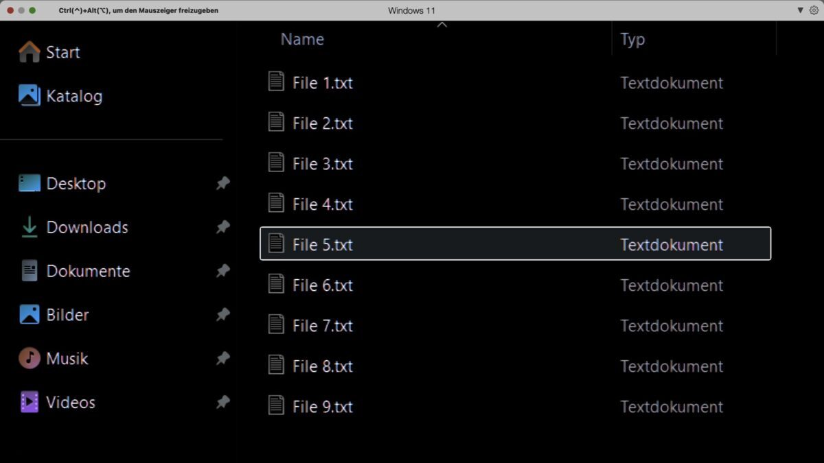 Das Bild zeigt einen Screenshot des Windows Explorers. Zu sehen ist eine Auflistung von Textdateien mit den Namen File 1-9.