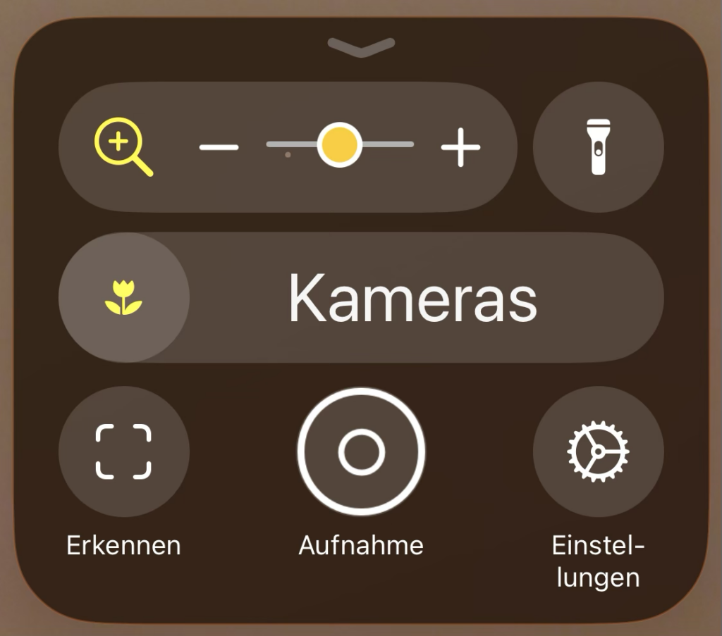 Die Bildschirmlupe mit ausgeklapptem Menü. Oben sind der Zoom und die LED, darunter die Kameras und darunter die Erkennen-Funktion, Aufnahme und Einstellungen.